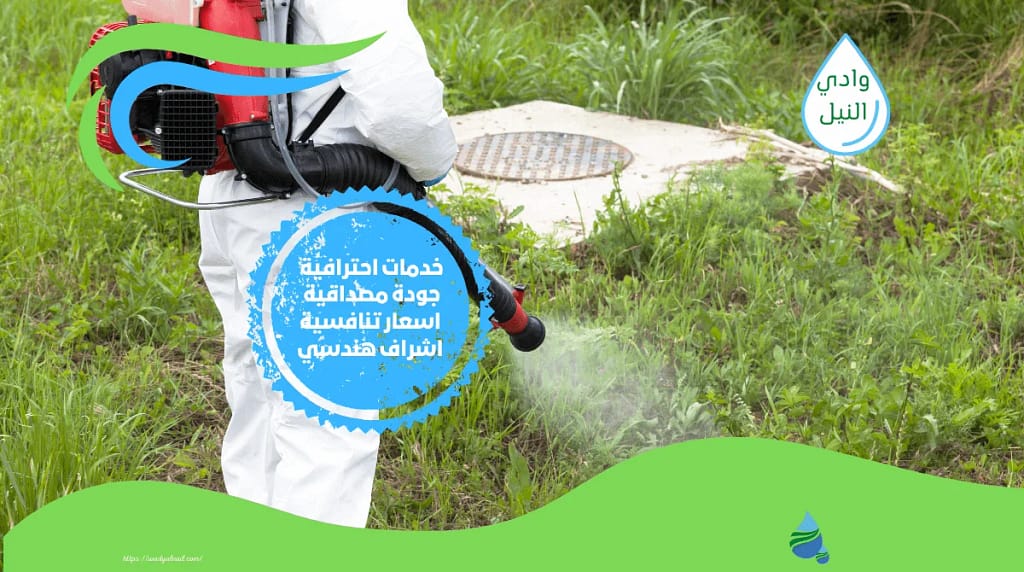 شركة مكافحة حشرات بالبحر الاحمر