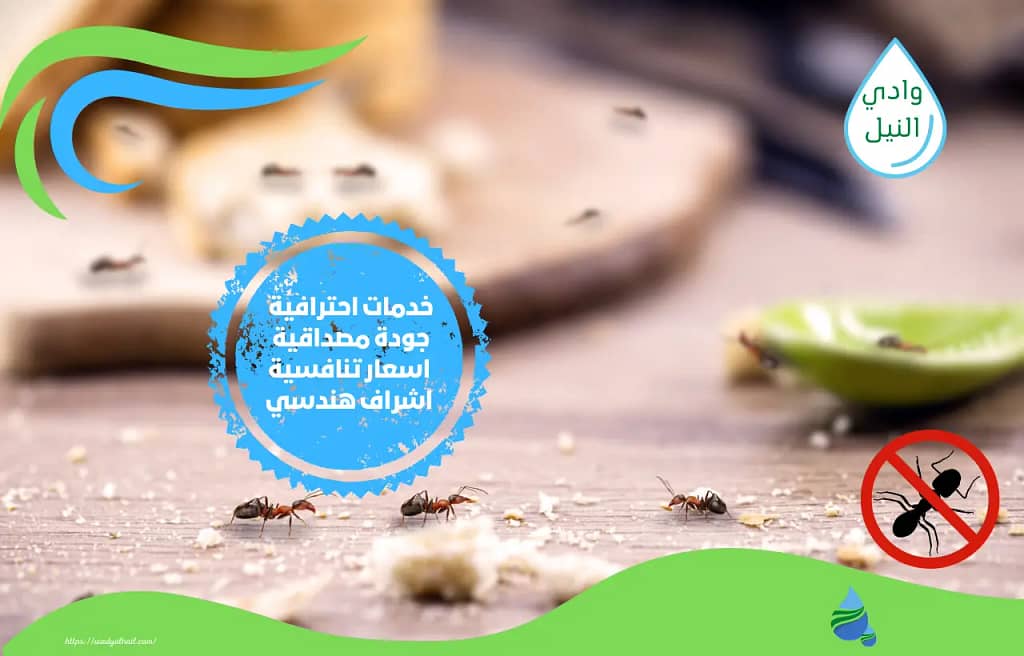 طرق مذهلة وفعاله للقضاء على النمل