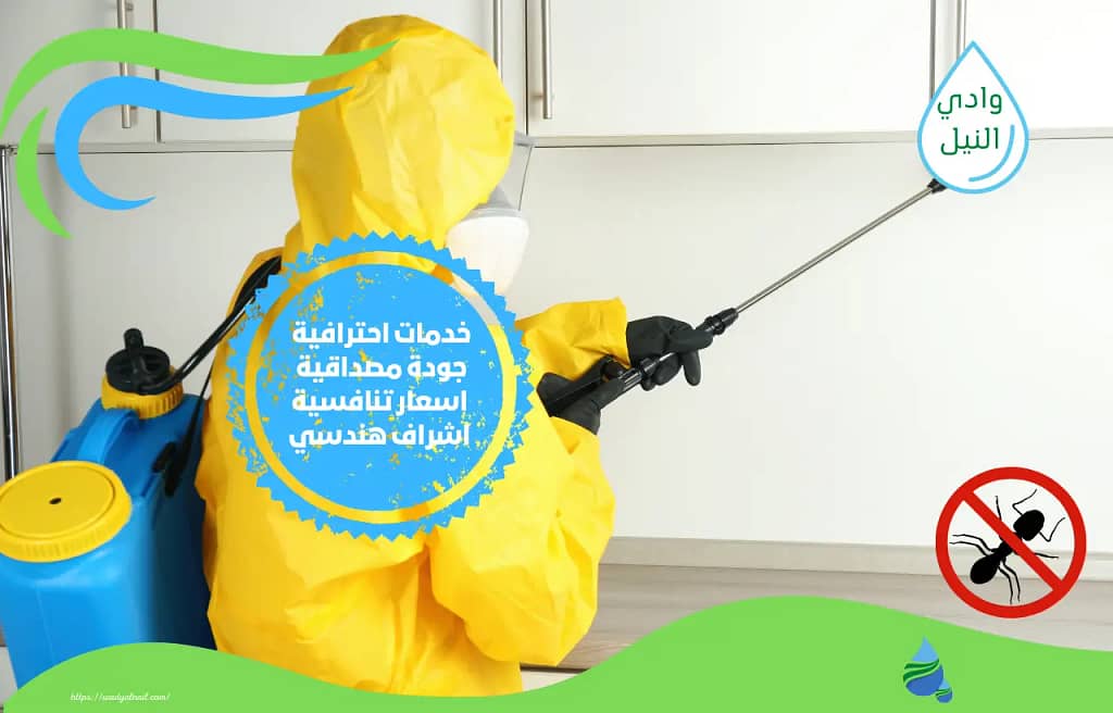 طرق مذهلة وفعاله للقضاء على النمل