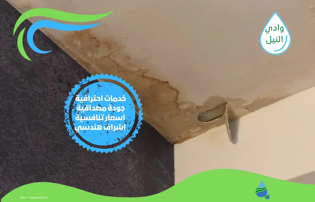 شركة كشف تسربات المياه في الاحساء