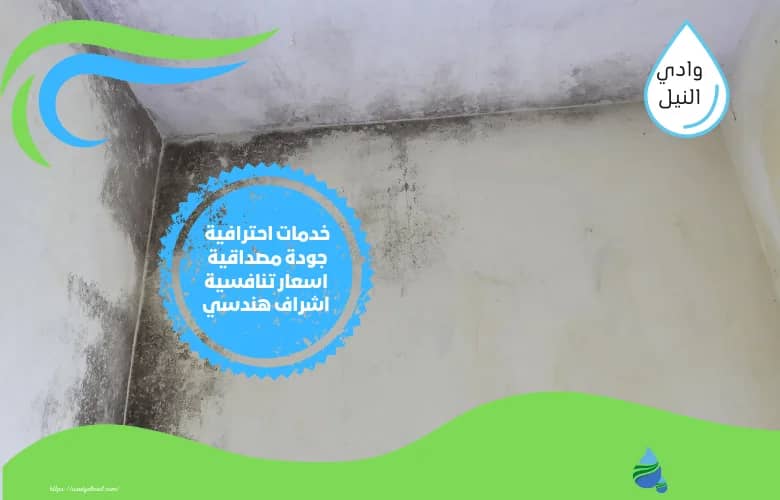 ارقام شركة كشف تسربات الاسطح بالجبيل