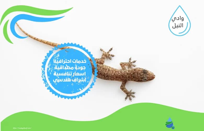 اسعار شركة مكافحة وزغ