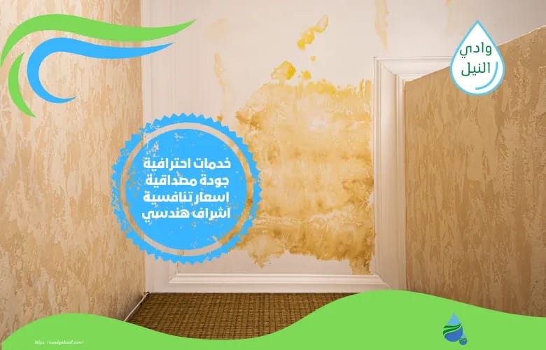 شركة معالجة رطوبة بالرحاب