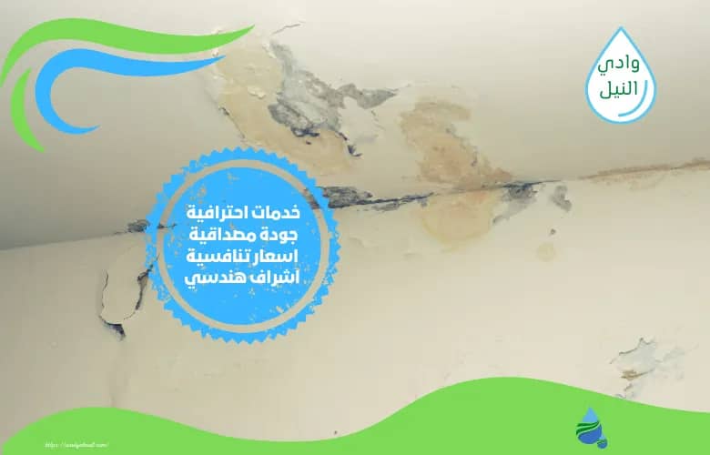 اسعار شركة معالجة رطوبة بالرحاب