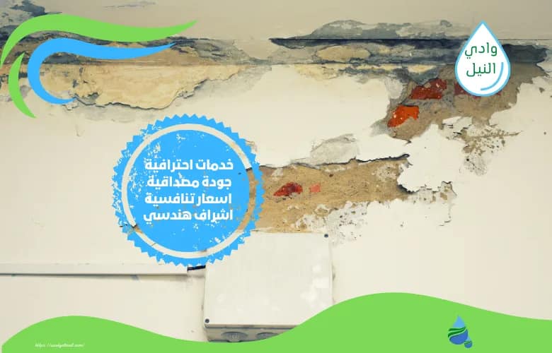افضل شركة معالجة رطوبة بالرحاب